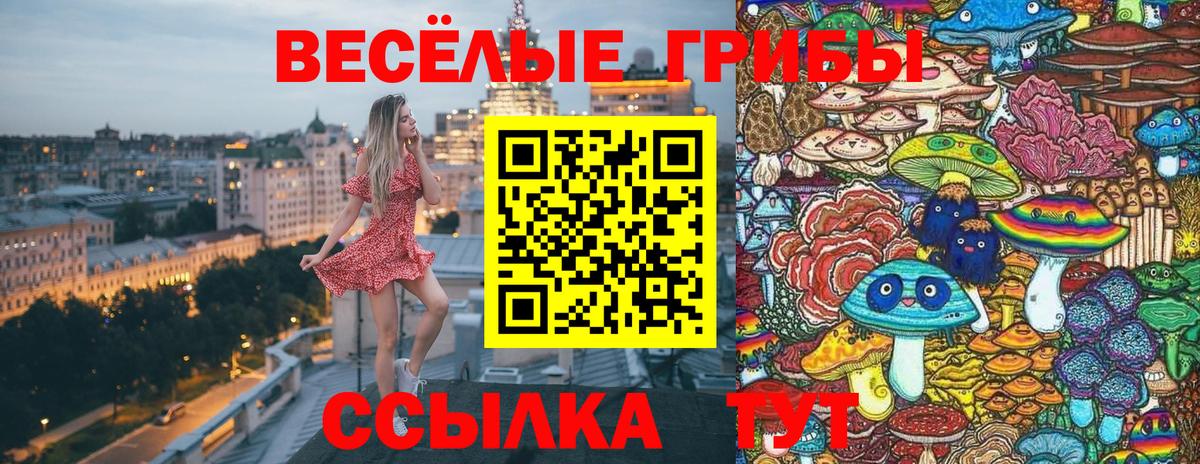 Псилоцибиновые грибы MAGIC MUSHROOMS Ишим