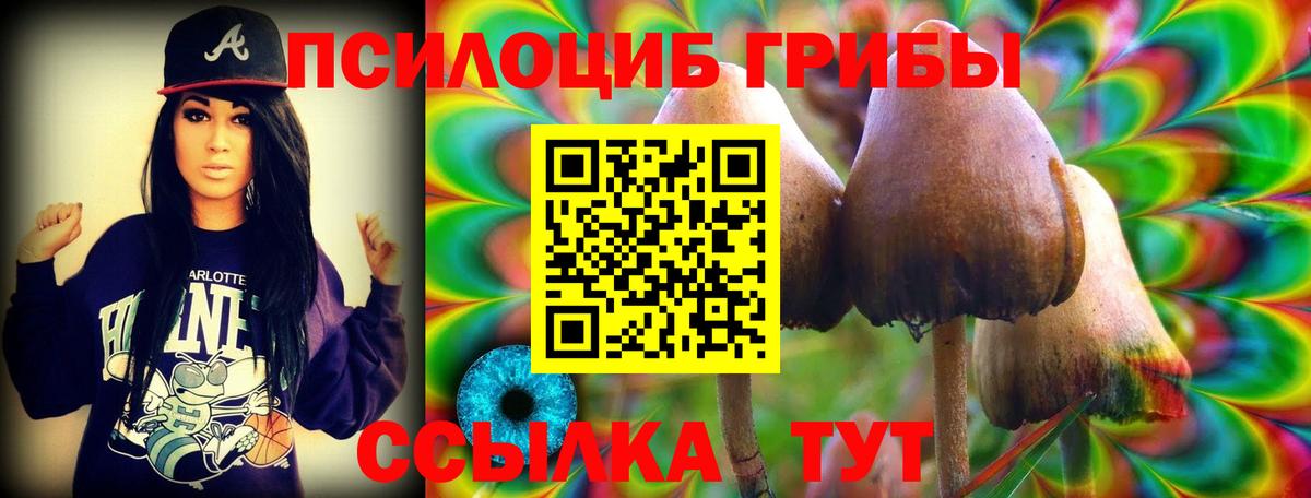 Псилоцибиновые грибы мухоморы  Вход с VPN  магазин продажи   Ишим 